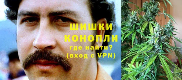 стафф Аркадак