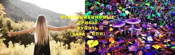гидропоника Армянск