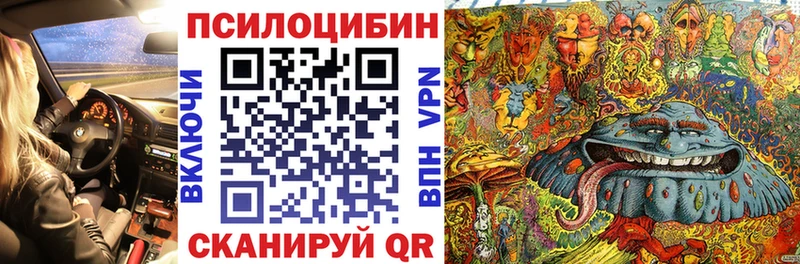 где можно купить   Курлово  Псилоцибиновые грибы ЛСД 